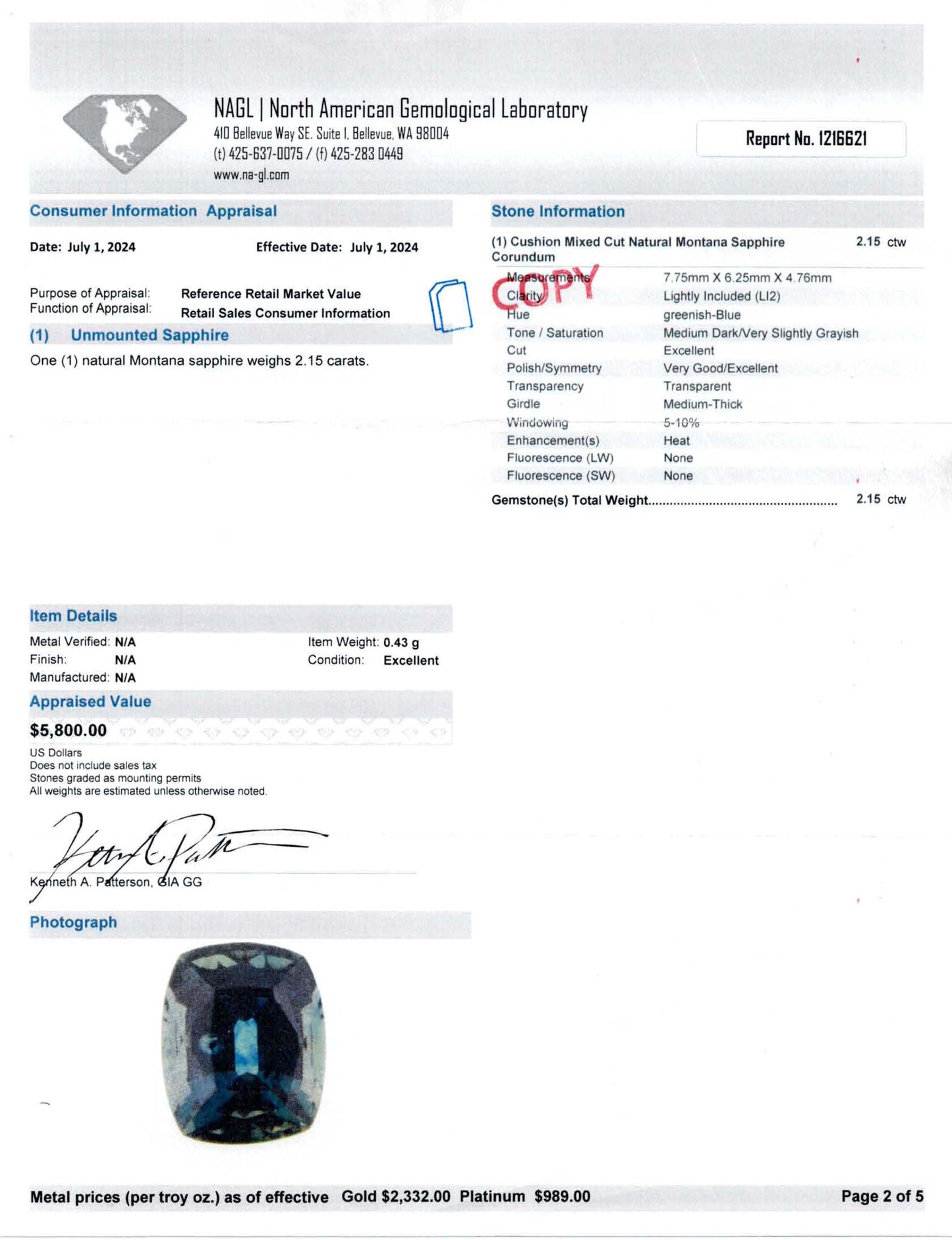 Blue Montana Sapphire & Diamond Ring